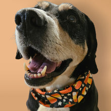 Load image into Gallery viewer, Halloween Candy Corn Dog Bandeau – Soft Slip-On Cotton Stretch Dog Scarf