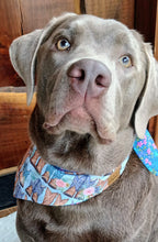 Load image into Gallery viewer, western dog bandan