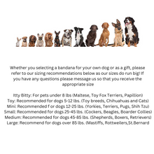 Load image into Gallery viewer, St. Patrick's Day/ Dog Bandana