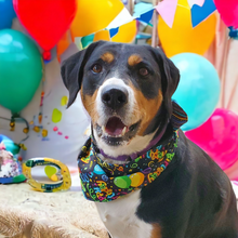 Load image into Gallery viewer, Birthday Bandana / Dog Bandana