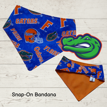 Load image into Gallery viewer, University of Florida "Gators"/ Dog Bandana