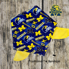 Load image into Gallery viewer, University of Michigan "Wolverine"/ Pet Bandana