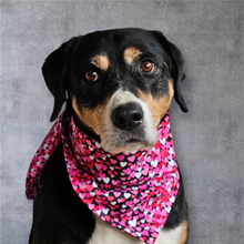 Load image into Gallery viewer, Valentine Dog Bandana
