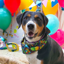 Load image into Gallery viewer, Birthday Bandana / Dog Bandana
