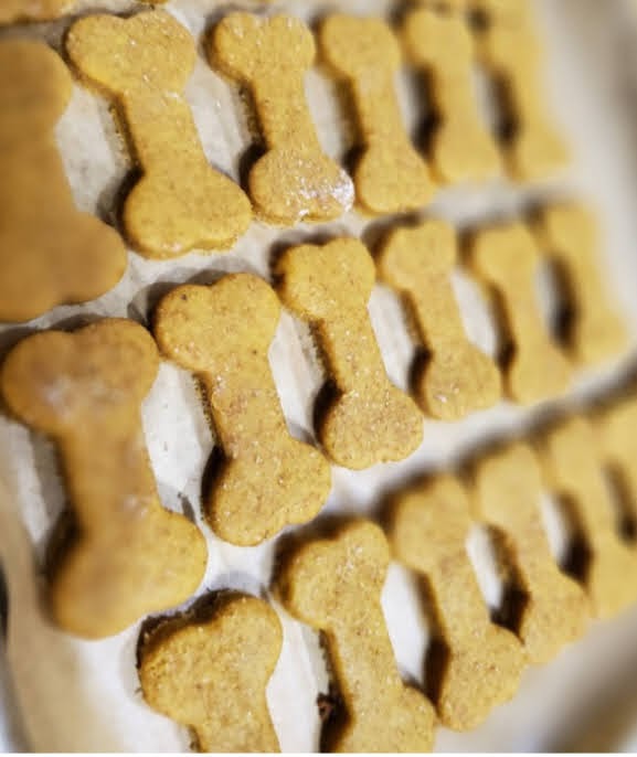 Peanut Butter and Blueberry Dog Treats